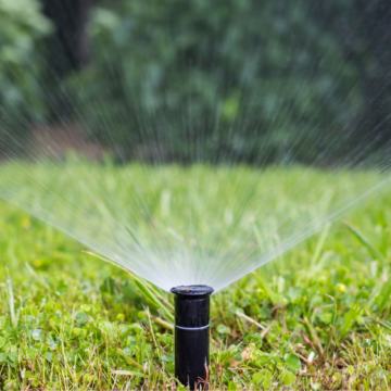 Ahorro de precisión: El riego automatizado en parques y jardines