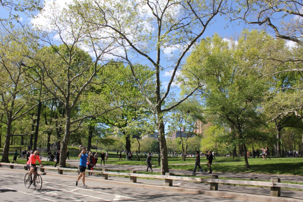 Planificando Barrios Saludables