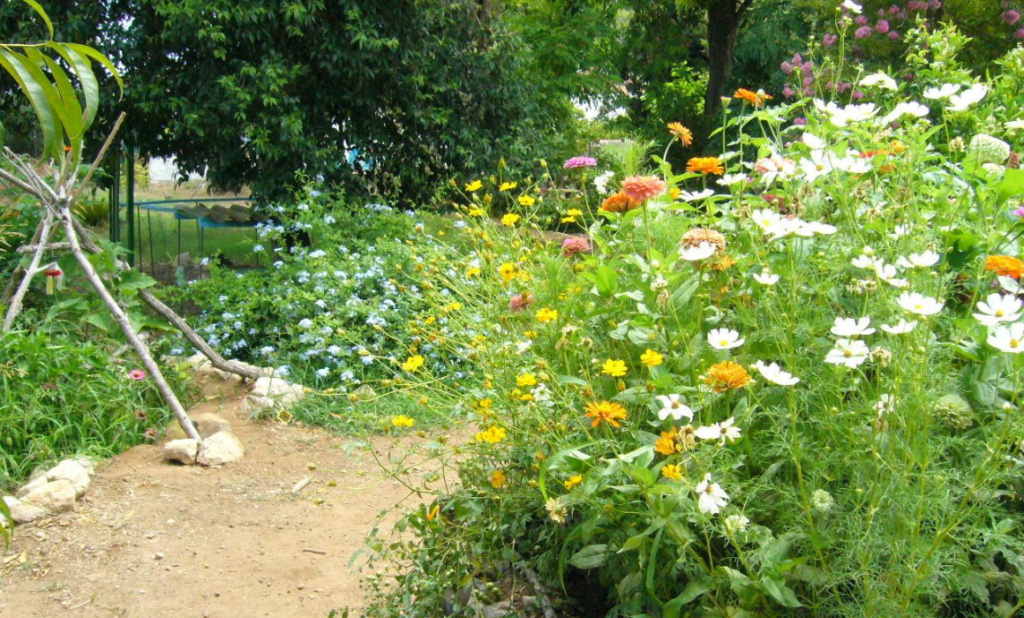 Hacia el “Parque Cero”