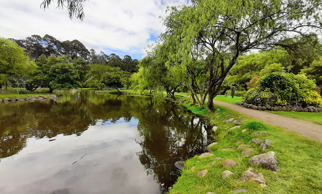 Mantenimiento de las áreas verdes en ciudades intermedias de América Latina