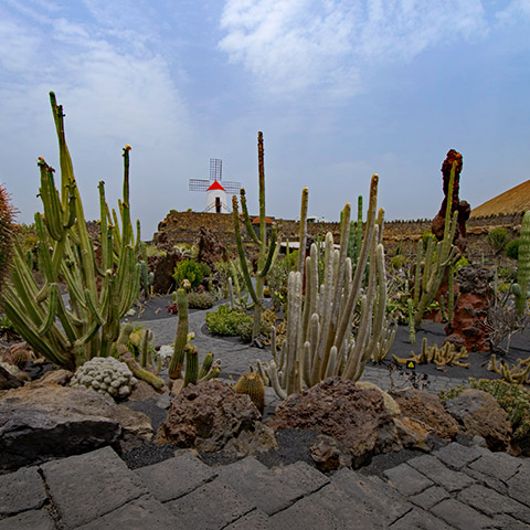 Los Smart Urban Parks