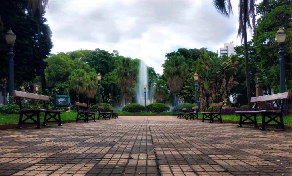 Ciudades resilientes-anpr ¿Por qué están apareciendo «bosques diminutos» en las grandes ciudades?