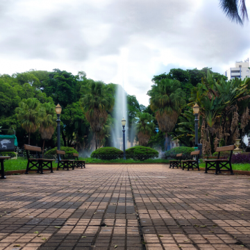 ¿Por qué están apareciendo “bosques diminutos” en las grandes ciudades?