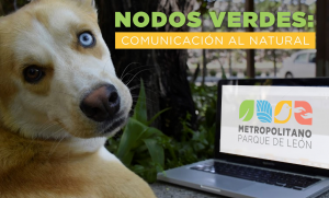 Nodos verdes, comunicación al natural