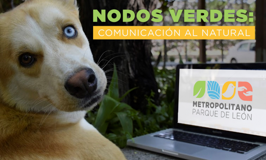 Nodos verdes: Comunicación al Natural
