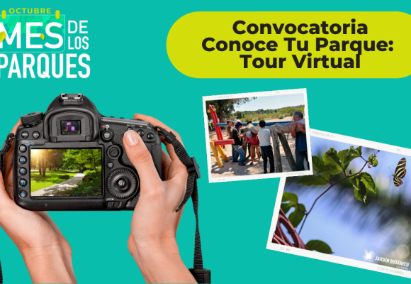 Convocatoria Conoce Tu Parque: Tour Virtual