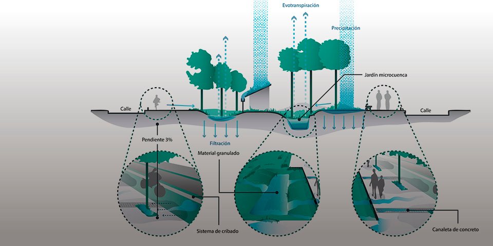 diagrama de jardín de lluvia