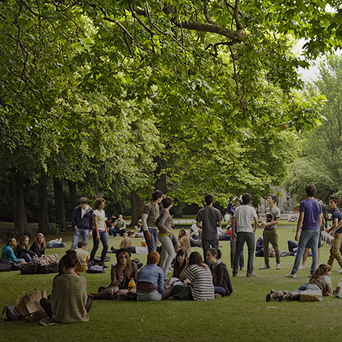 Generaciones en el parque