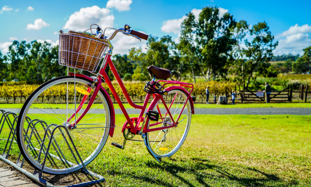 Los 3 Tipos de Ocio en los Parques Urbanos | Alberto Ipas