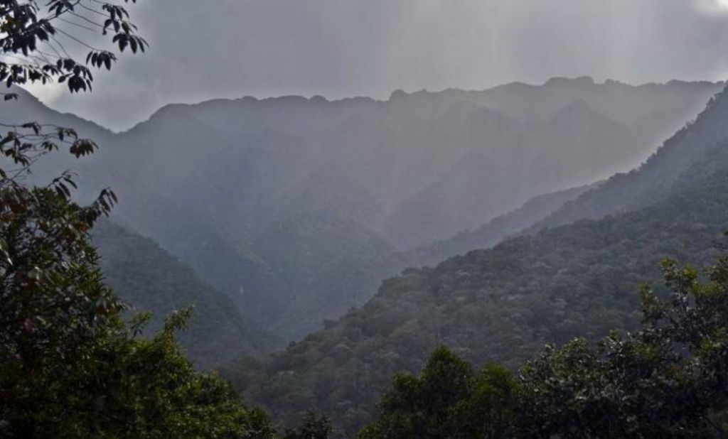 Parques-Nacionales-Colombia 45 de los 59 Parques Nacionales de Colombia tienen ecosistemas amenazados