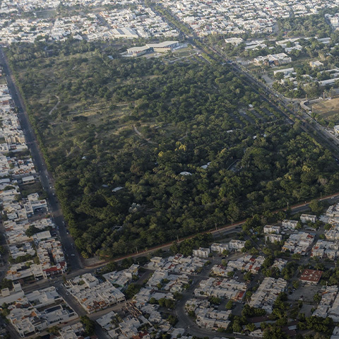 Jardín Botánico de Culiacán