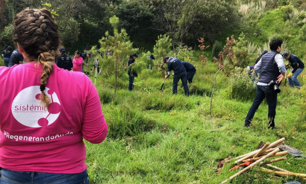 Regeneración de áreas verdes con enfoque humano