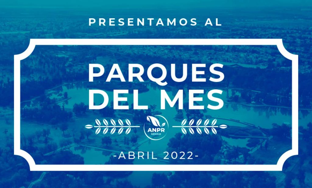 Bosque de San Juan de Aragón