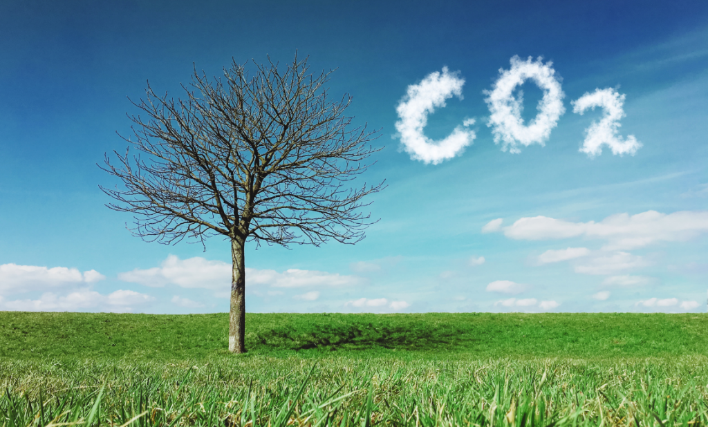 Hacia una movilidad de cero emisiones Hacia una movilidad de cero emisiones