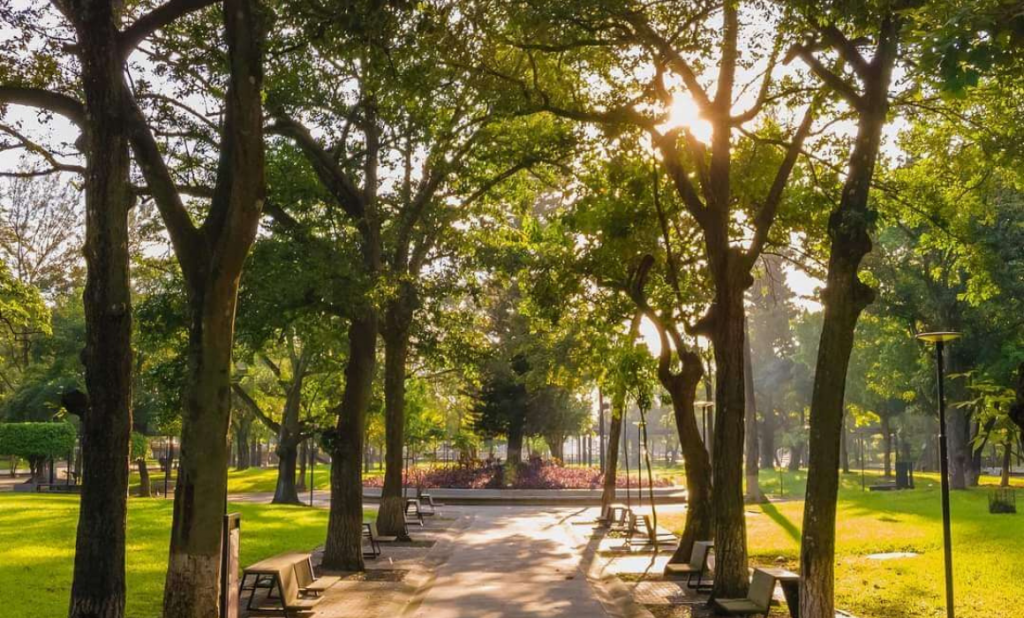 blog-Cambiando la Narrativa del Parque Cuscatlán