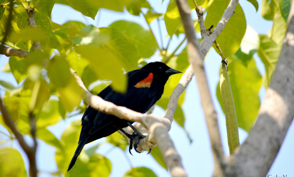 parque ecologico tachi’í-01 parque ecologico tachi’í
