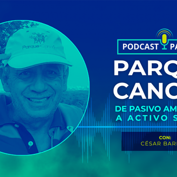 Parque Cancún, de Pasivo Ambiental a Activo Social