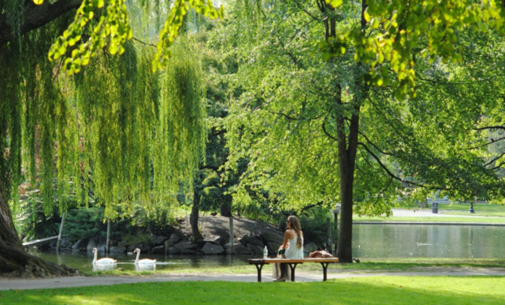 Espacio para Pasear Espacio para Pasear