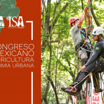 ANPR Mexico- AMA- Arboricultura-arbol- congreso-miniatura