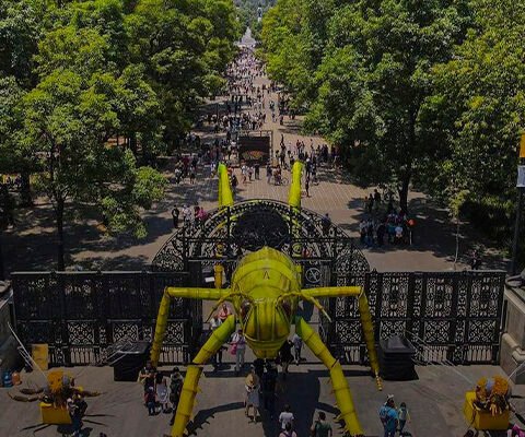 INSECTA Festival del Bosque de Ciudad de México