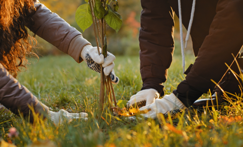 Espacios Verdes Apropiado-webinars anpr-2