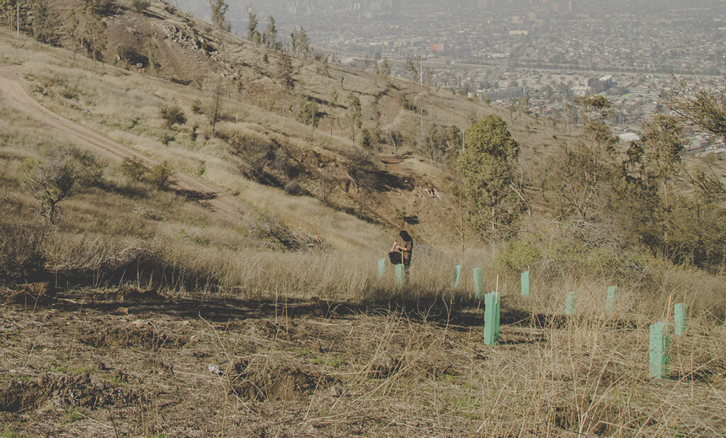 Paisajismo y resiliencia urbana