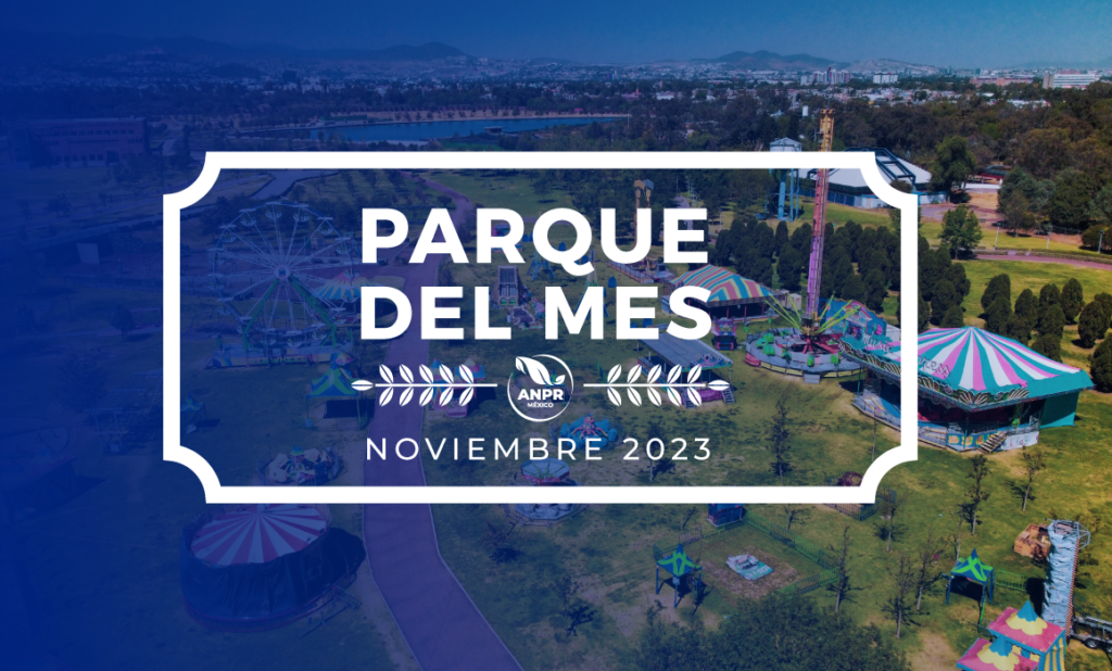 Slider-parque delmes-450-03