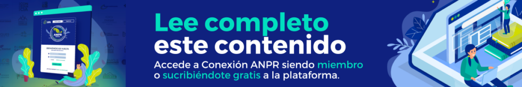 Publicidad en blogs - ANPR-conexion-acceso