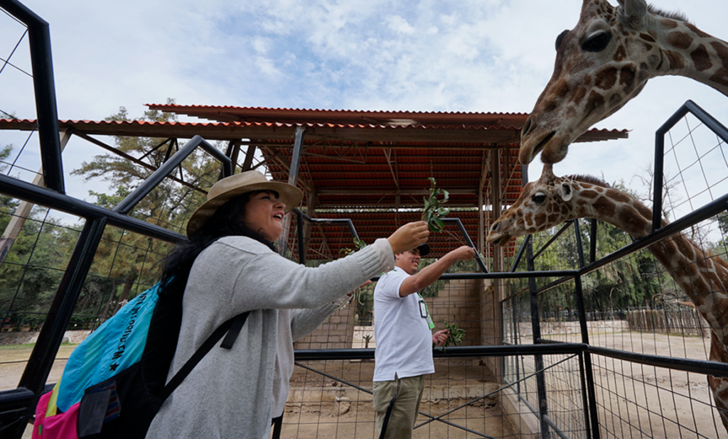 Innovación y Conexión: El Camino Recorrido por la ANPR en el 2023 