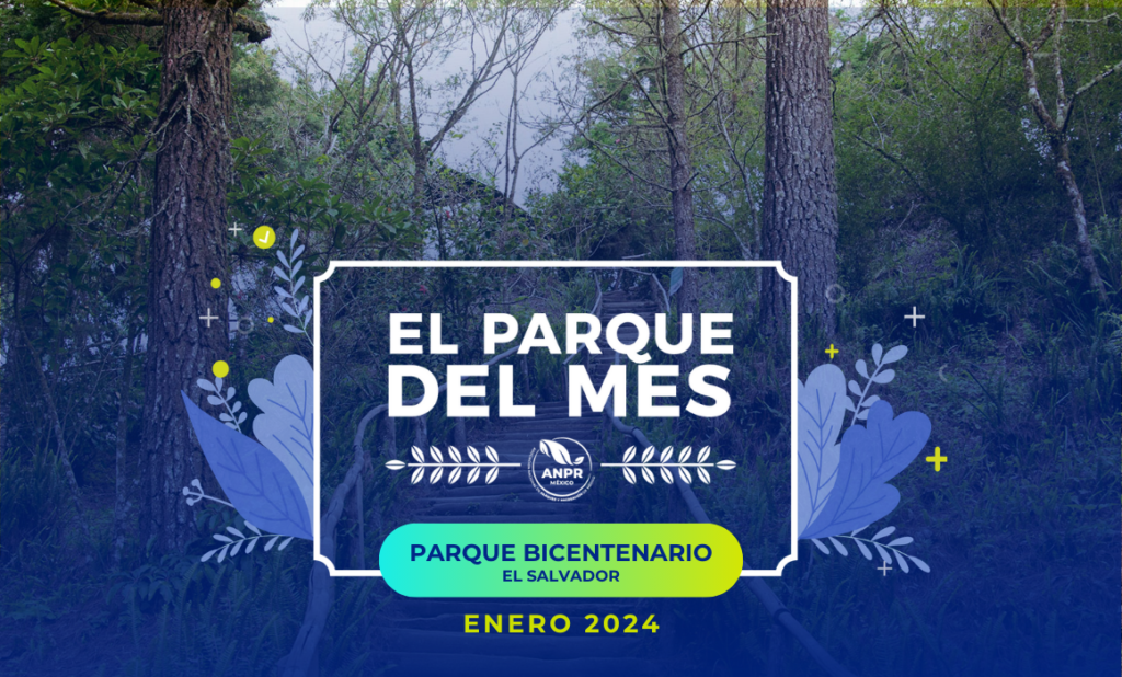 PARQUE DEL MES BLOG