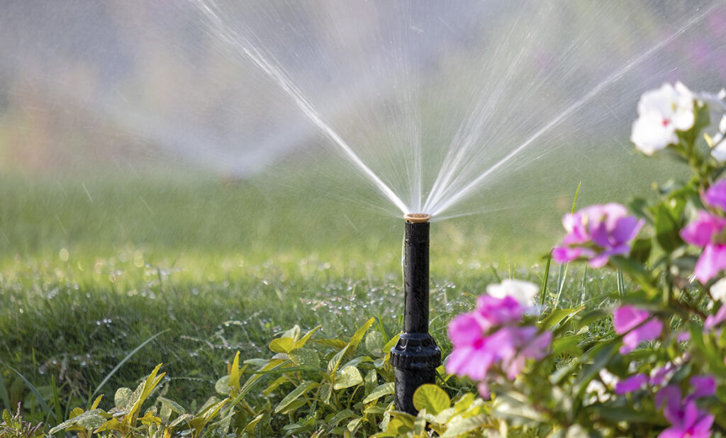 Riego de Paisajismo en Áreas Públicas