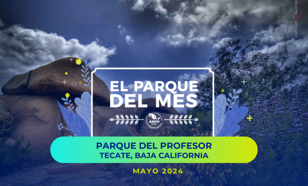 PARQUE DEL MES BLOG
