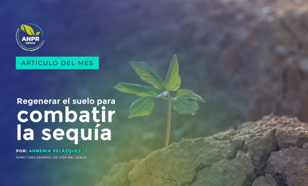 Regenerar el suelo para combatir la sequía
