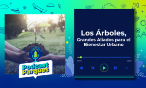 los-arboles-grandes-aliados-para-el-bienestar-urbano-podcast