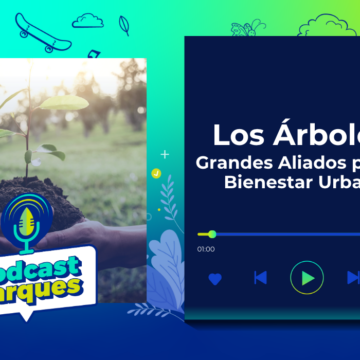 los-arboles-grandes-aliados-para-el-bienestar-urbano-podcast