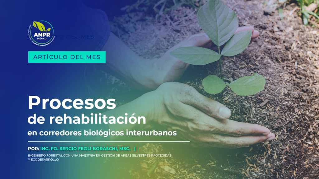 Artículo del Mes - Septiembre Artículo del Mes - Septiembre