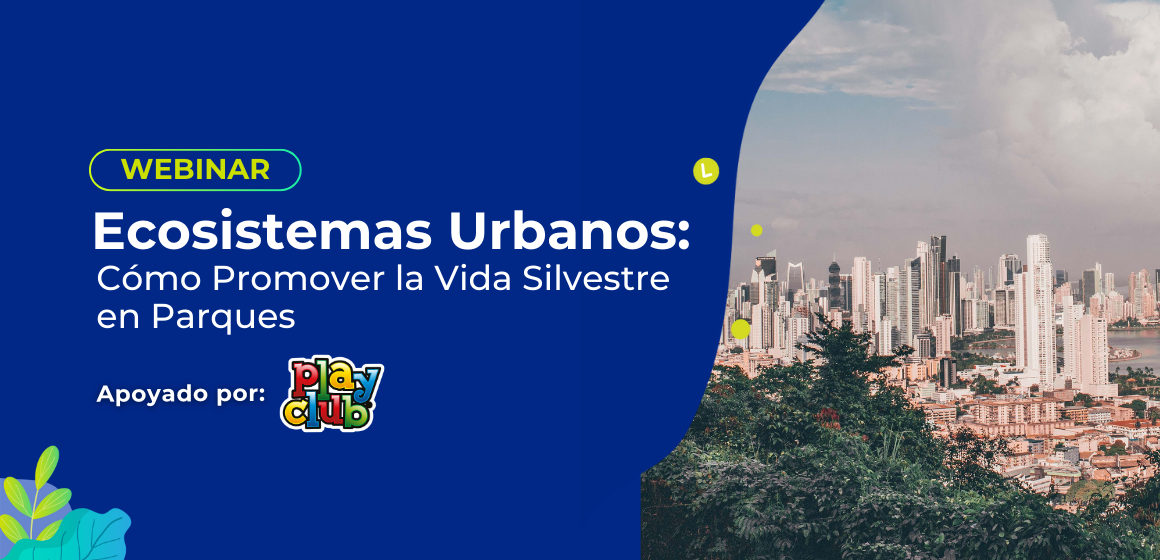 Ecosistemas Urbanos: Cómo Promover la Vida Silvestre en Parques