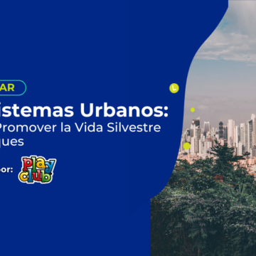 Ecosistemas Urbanos: Cómo Promover la Vida Silvestre en Parques