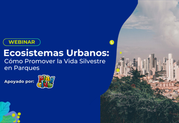 Ecosistemas Urbanos: Cómo Promover la Vida Silvestre en Parques