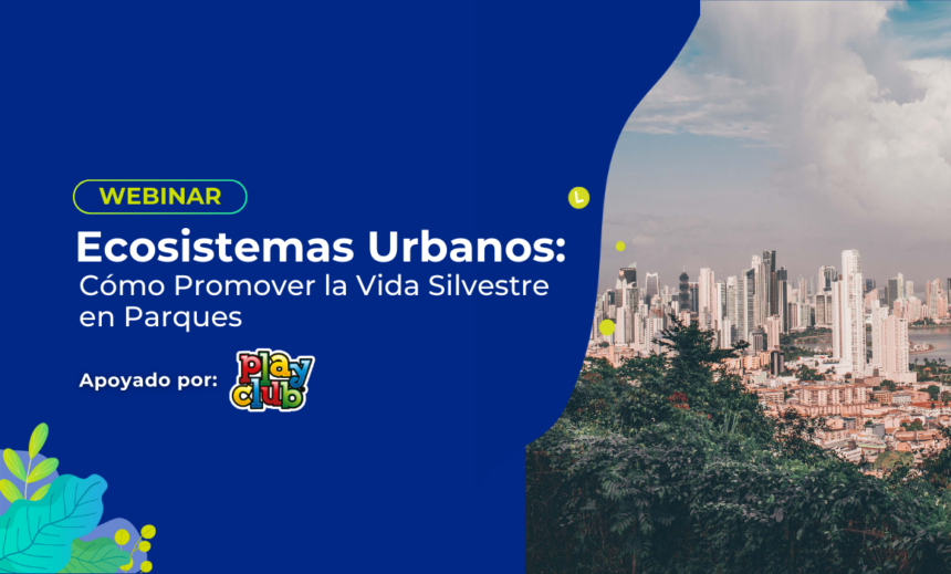 Ecosistemas Urbanos: Cómo Promover la Vida Silvestre en Parques