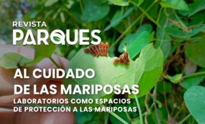 Al Cuidado de las Mariposas