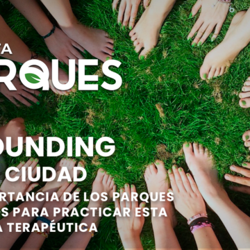 GROUNDING en la Ciudad La Importancia de los Parques Urbanos para Practicar esta Técnica Terapéutica