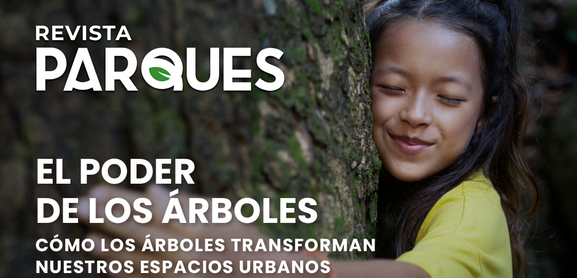 El Poder de los Árboles Cómo los Árboles Transforman Nuestros Espacios Urbanos