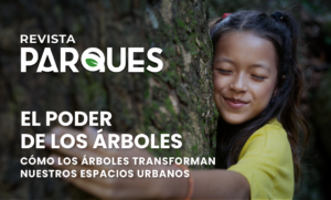 El Poder de los Árboles Cómo los Árboles Transforman Nuestros Espacios Urbanos