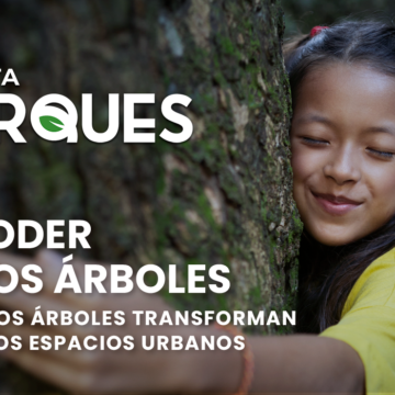 El Poder de los Árboles Cómo los Árboles Transforman Nuestros Espacios Urbanos