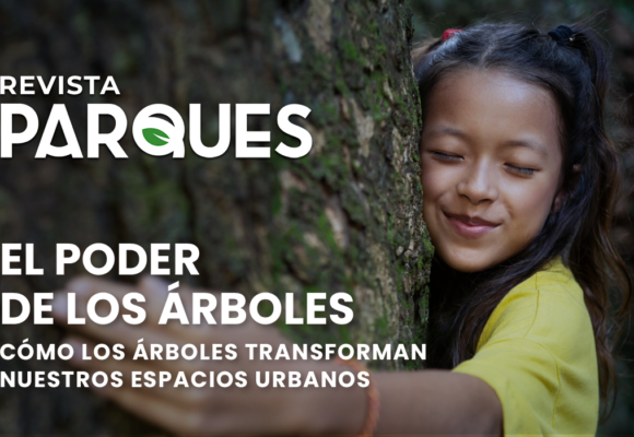 El Poder de los Árboles Cómo los Árboles Transforman Nuestros Espacios Urbanos