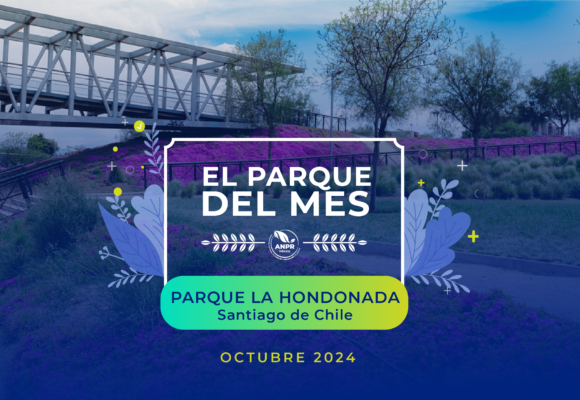 Parque del mes - Octubre