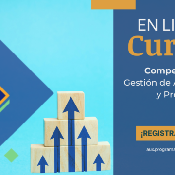  2.1. Introducción a los Programas de Mejora de Capital