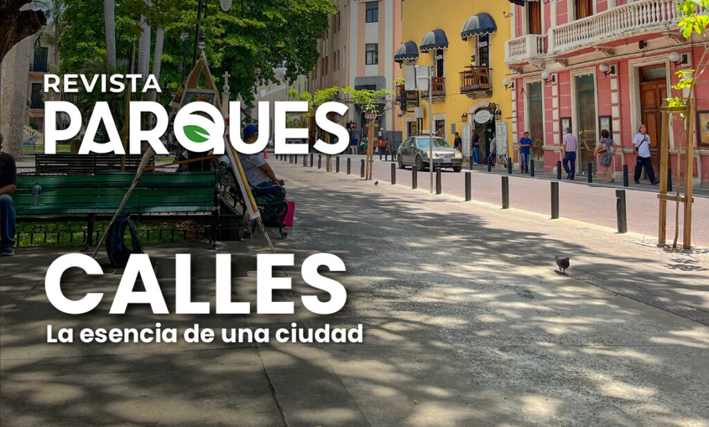 Calles: La Esencia de una Ciudad