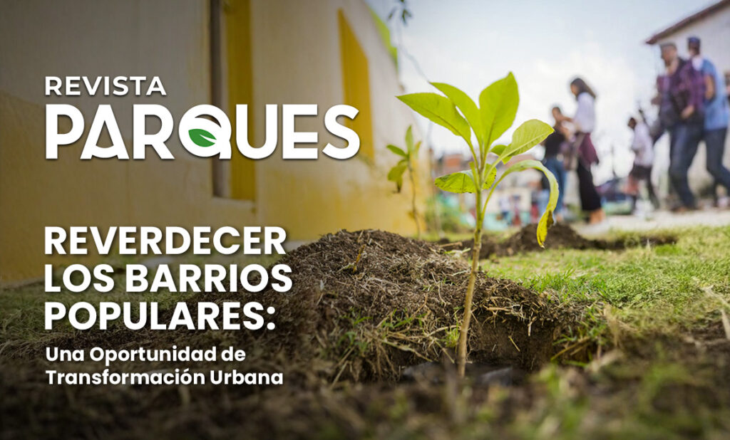 BLOG 9 Reverdecer los Barrios Populares: Una Oportunidad de Transformación Urbana